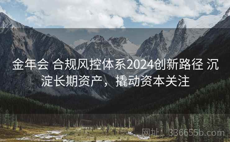 金年会 合规风控体系2024创新路径 沉淀长期资产，撬动资本关注