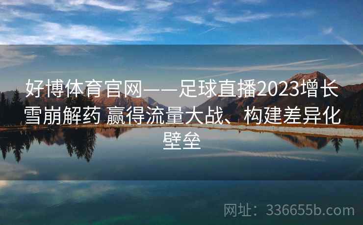 好博体育官网——足球直播2023增长雪崩解药 赢得流量大战、构建差异化壁垒