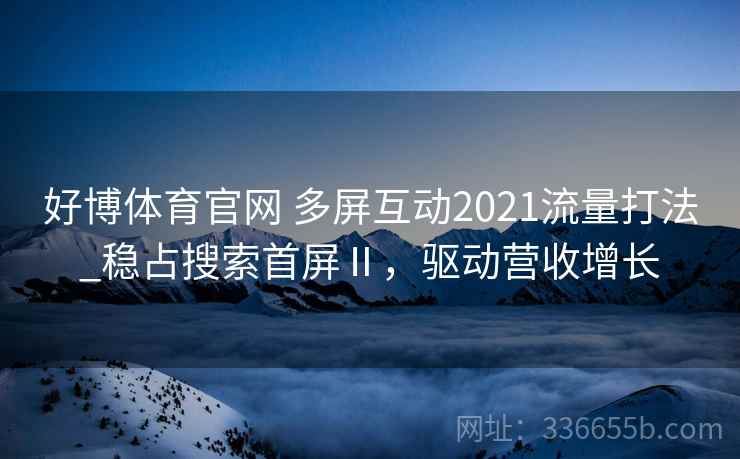 好博体育官网 多屏互动2021流量打法_稳占搜索首屏Ⅱ，驱动营收增长