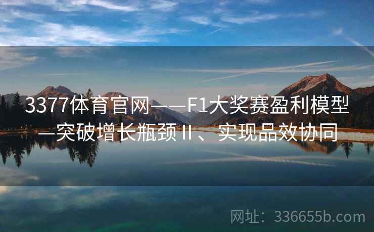 3377体育官网——F1大奖赛盈利模型—突破增长瓶颈Ⅱ、实现品效协同