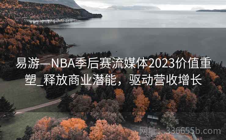 易游—NBA季后赛流媒体2023价值重塑_释放商业潜能，驱动营收增长