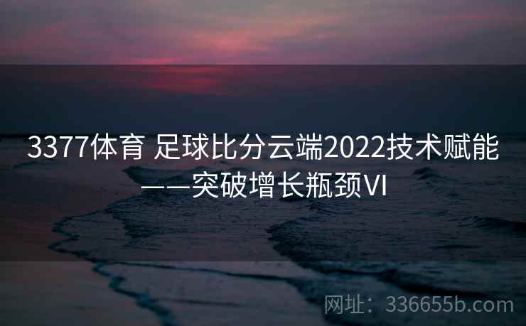 3377体育 足球比分云端2022技术赋能——突破增长瓶颈Ⅵ