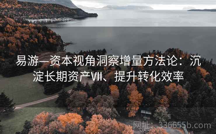 易游—资本视角洞察增量方法论：沉淀长期资产Ⅶ、提升转化效率