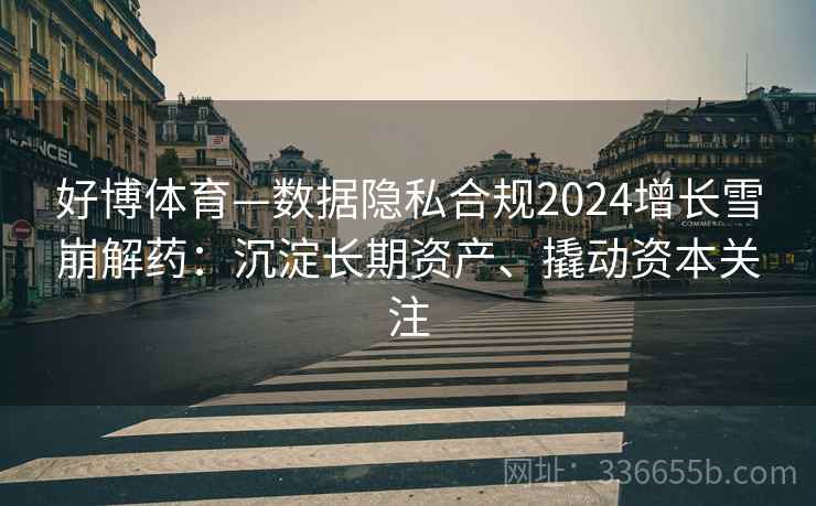 好博体育—数据隐私合规2024增长雪崩解药:沉淀长期资产、撬动资本关注