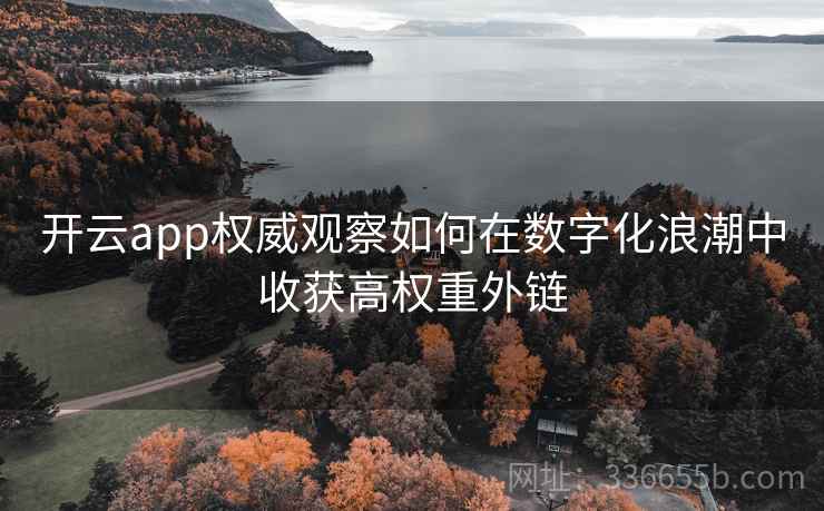开云app权威观察如何在数字化浪潮中收获高权重外链