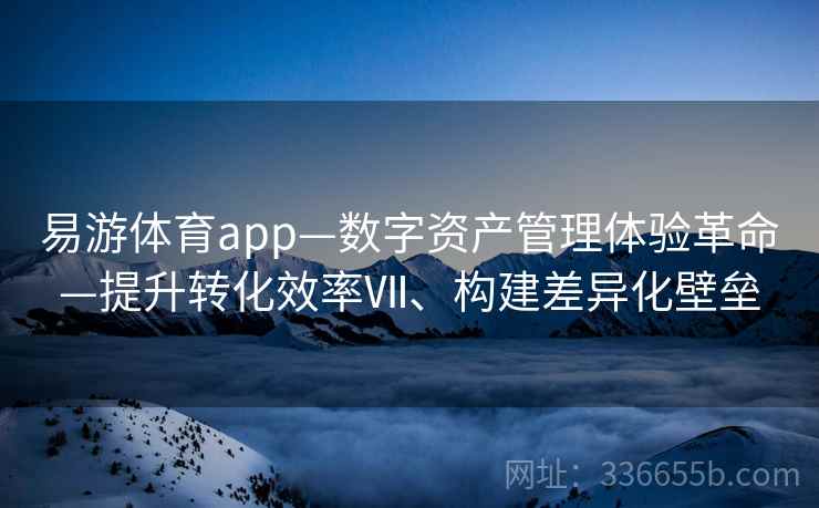 易游体育app—数字资产管理体验革命—提升转化效率Ⅶ、构建差异化壁垒